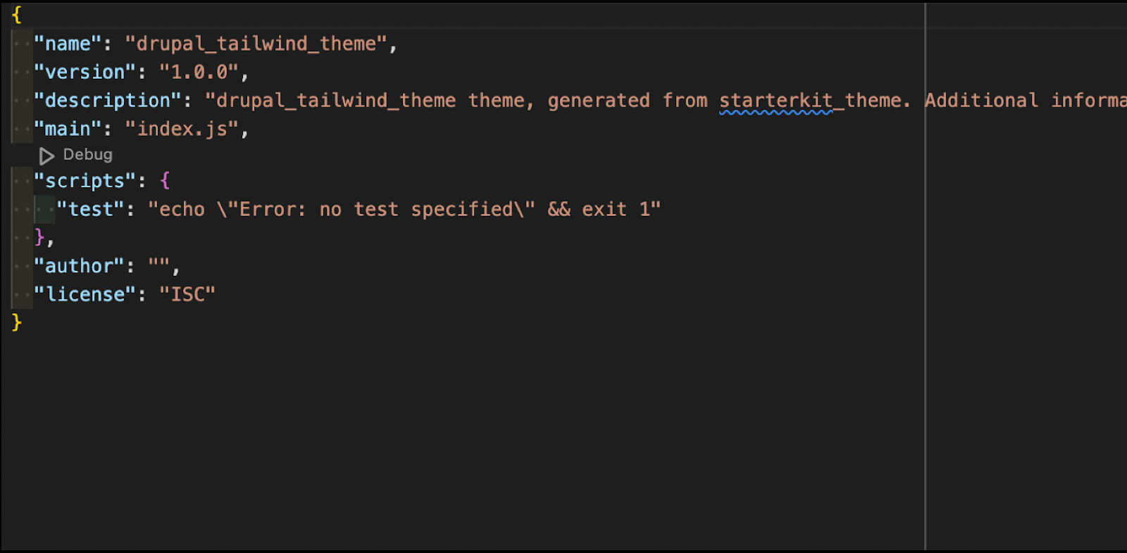 npm init