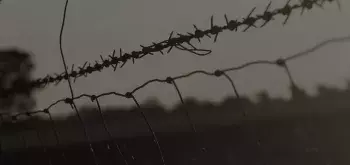 banner image