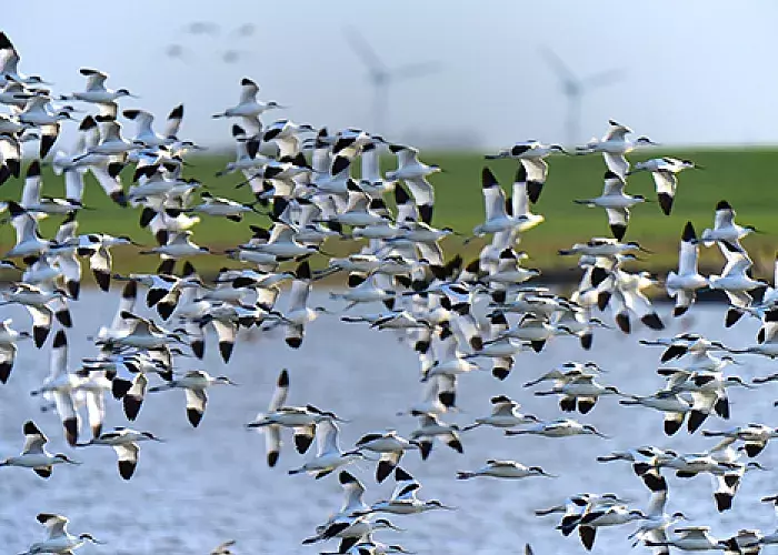 Migrating from Drupal 7 to Drupal 8 - A brief guide.