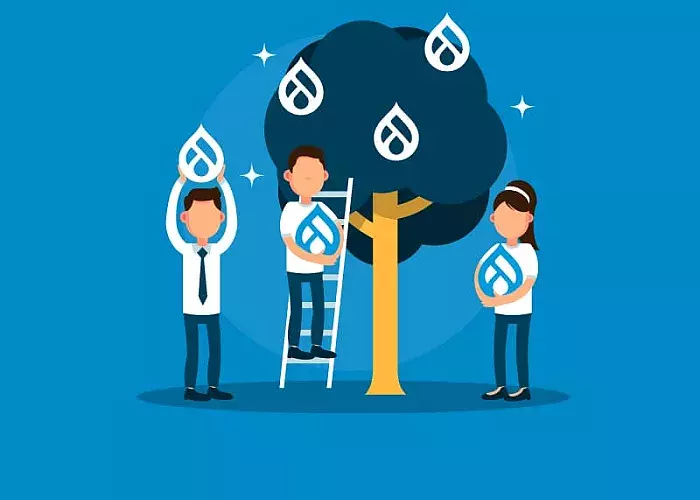 Drupal Contribution