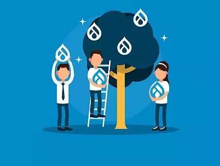 Drupal Contribution